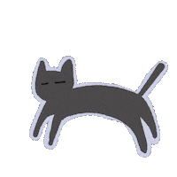 Cat What Sticker