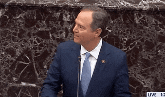 news senate impeachment trial impeachment trial adam schiff the house calls john bolton the house calls mick mulvaney lets get this trial started GIF