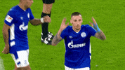 Football Soccer GIF by FC Schalke 04