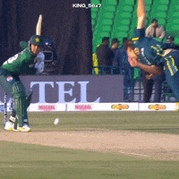 Peshawar Zalmi GIF