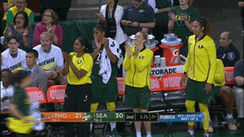 lets go yes GIF by WNBA