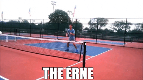 pickleballmax giphygifmaker GIF