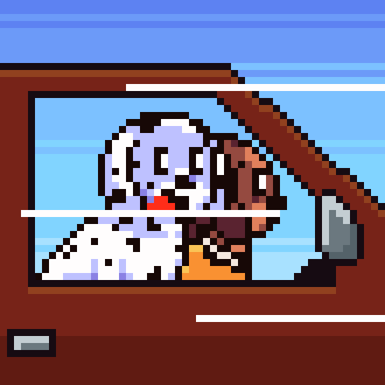 Car Dogs GIF by Abstract HotDogs
