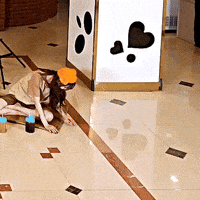 Happy K-Pop GIF