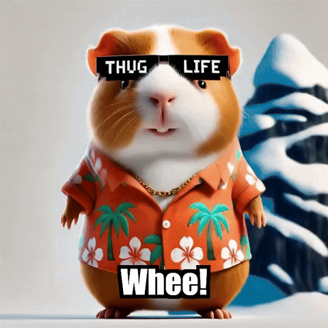 Guinea Pig Winter GIF by Guinea Gambino