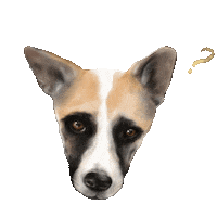 Monday What Sticker