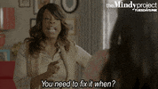 the mindy project GIF by Fox TV