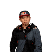 japan no Sticker by Red Bull