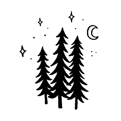steph_fireflyatelier giphyupload nature black and white stars Sticker