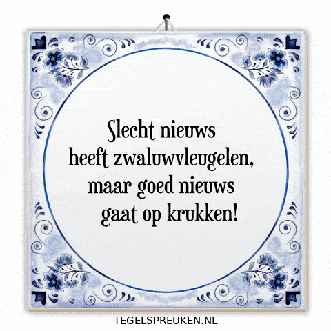 Hoop Nl GIF by Tegelspreuken.nl