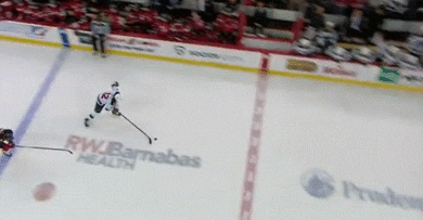 petrfrmel giphyupload GIF