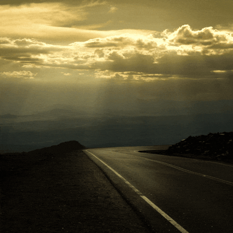 GIF by Learner Circle