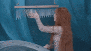 Music Video GIF by Taylor Swift