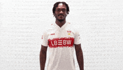 Vfb Stuttgart Hello GIF by Bundesliga