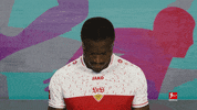 Vfb Stuttgart Football GIF by Bundesliga