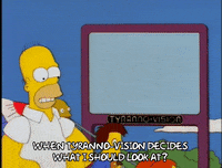 homer simpson GIF