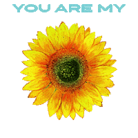 you are my sunshine flower Sticker by ASICS