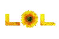 åé³èè¡ lol Sticker by ASICS