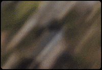 Ysl GIF by Gunna