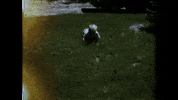 GIF by UnionDocs