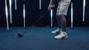 North Carolina GIF by UNC Tar Heels