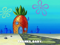 season 8 bubble troubles GIF by SpongeBob SquarePants