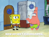 season 8 barnacle face GIF by SpongeBob SquarePants