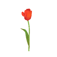 forencos 원더랜드 포렌코즈 Sticker