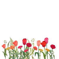 forencos 원더랜드 포렌코즈 Sticker