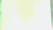 phillnricksburgers burger burgers phill ricks GIF