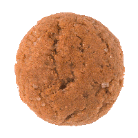 ikwilbolletje cookie sinterklaas pakjesavond intocht Sticker