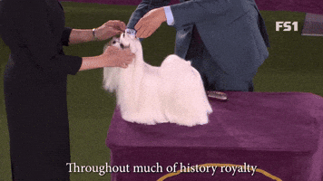 The Breed Of Refinement