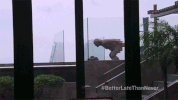 season 1 bltn GIF by NBC