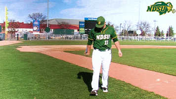 Anderson GIF by NDSU Athletics