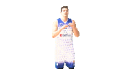 Embl Sticker by EuroMillions Basketball