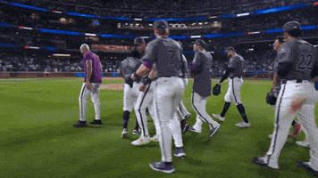 Jeff Mcneil Win GIF by New York Mets