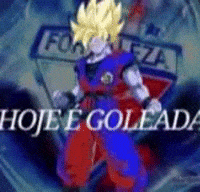 Fortaleza Esporte Clube Lion GIF