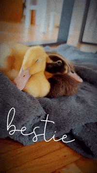 Bff Bestie GIF