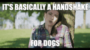 sciencewithsophie dog dogs science handshake GIF