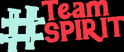ncsc-ks giphygifmaker teamspirit GIF