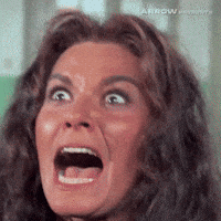 Italian Film GIF by Arrow Video