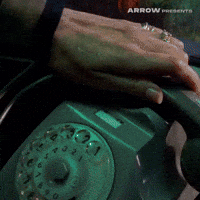 Italian Film GIF by Arrow Video
