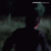 Italian Film GIF by Arrow Video