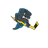 QCStorm storm quad city storm qc storm qcstorm Sticker