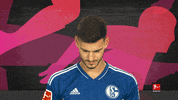 Schalke S04 GIF by Bundesliga