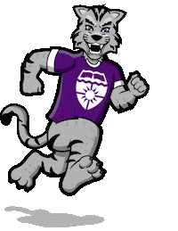 St_Thomas_Alumni stthomas tommies rolltoms st. thomas Sticker