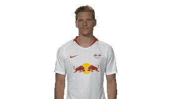 rb leipzig Sticker by Bundesliga