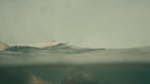 Ocean Hair Flip GIF by FOX TV