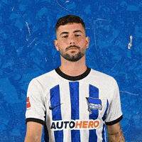 Sport Bundesliga GIF by Hertha BSC