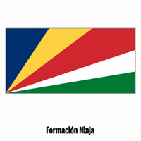 Flag Bandera GIF by Formación Ninja